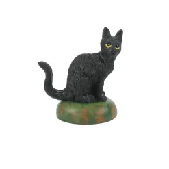 A Clowder Of Black Cats