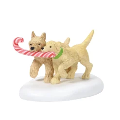 Peppermint Pups