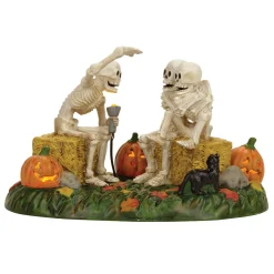 Scary Skeleton Stories