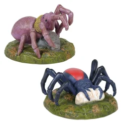 Spider Phobia