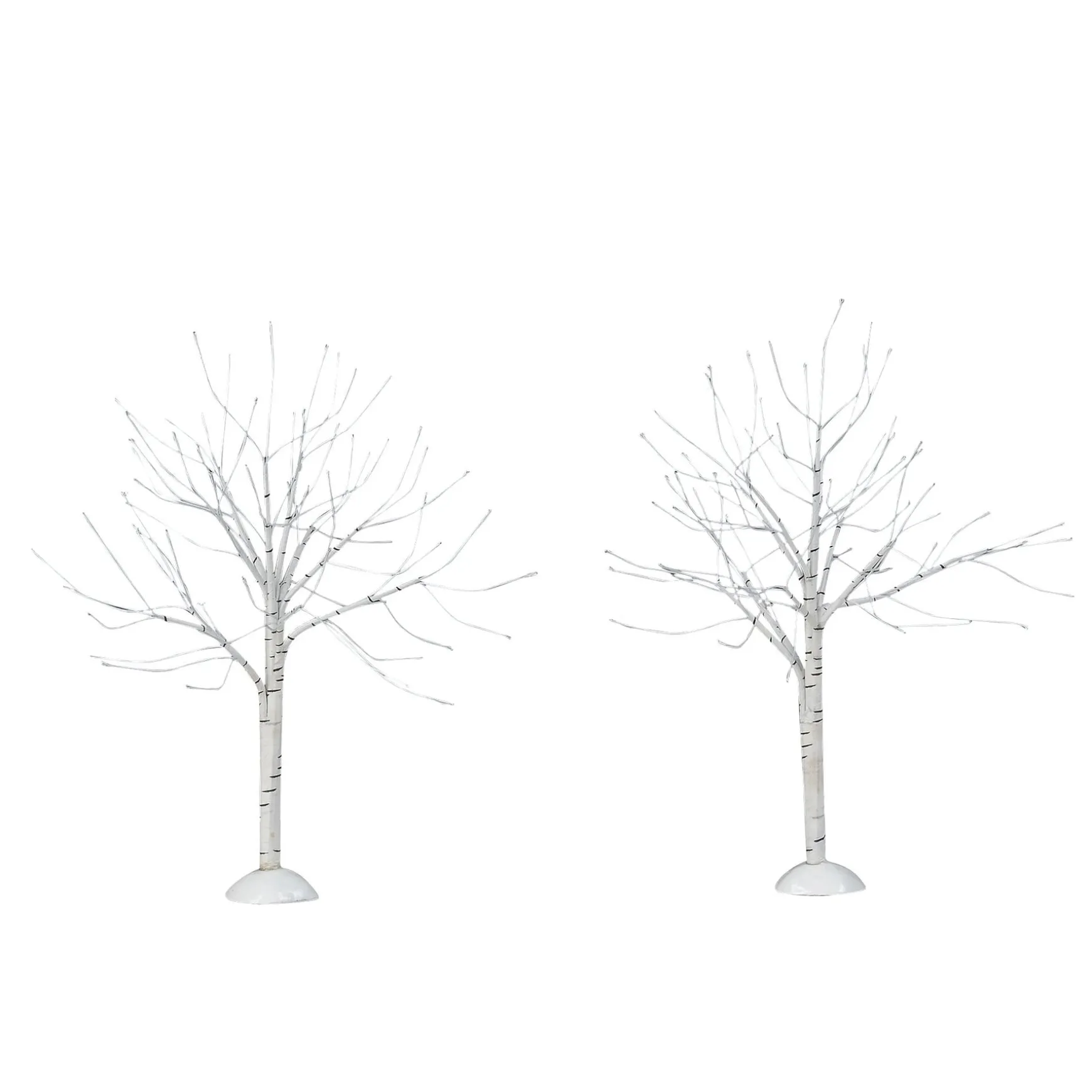 Winter Birch