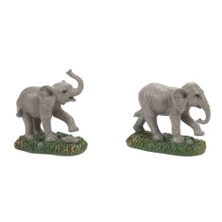 Zoological Garden Elephant st2
